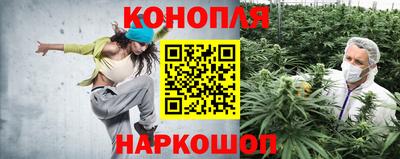 Альфа ПВП Нальчик