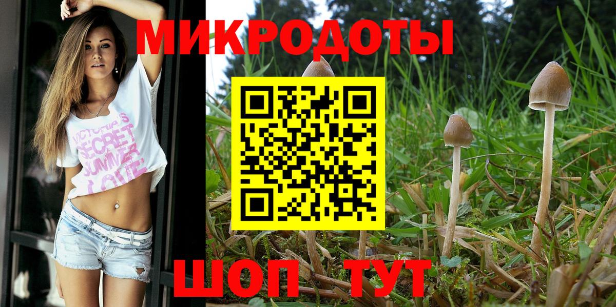 Сокол  Псилоцибиновые грибы мухоморы  Псилоцибиновые грибы Psilocybe  Вход с VPN 