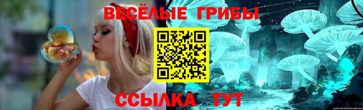 Галлюциногенные грибы MAGIC MUSHROOMS Сокол
